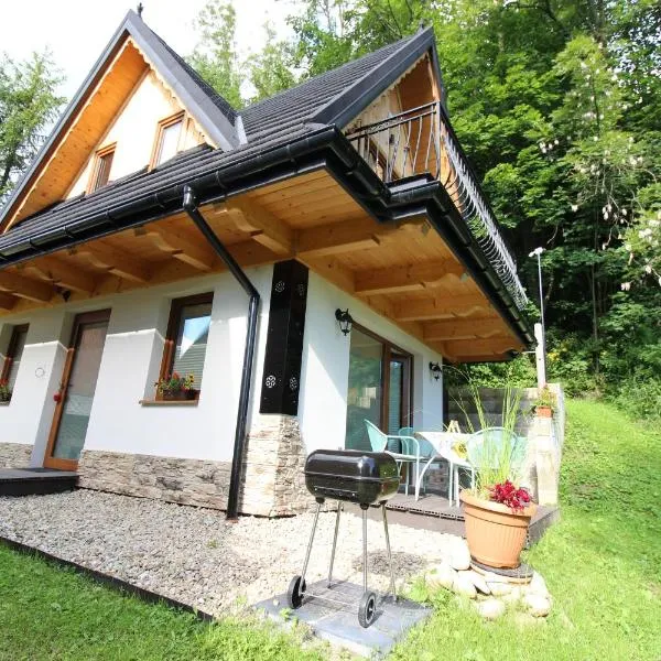 Domki Pod Brzegiem，比利但耶克的飯店