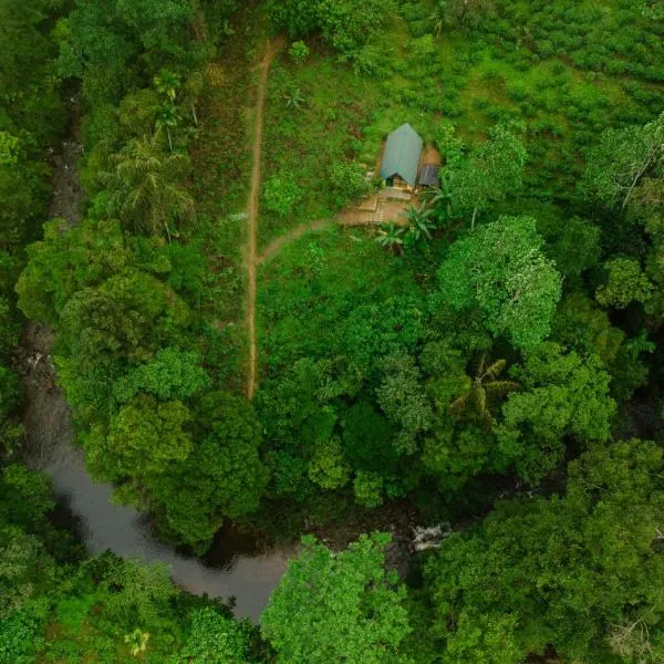Rainforest cabin, готель у місті Dombagoda