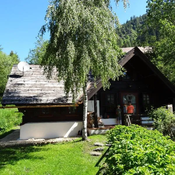 Fischerhütte Donnersbachwald, hotel in Planneralm