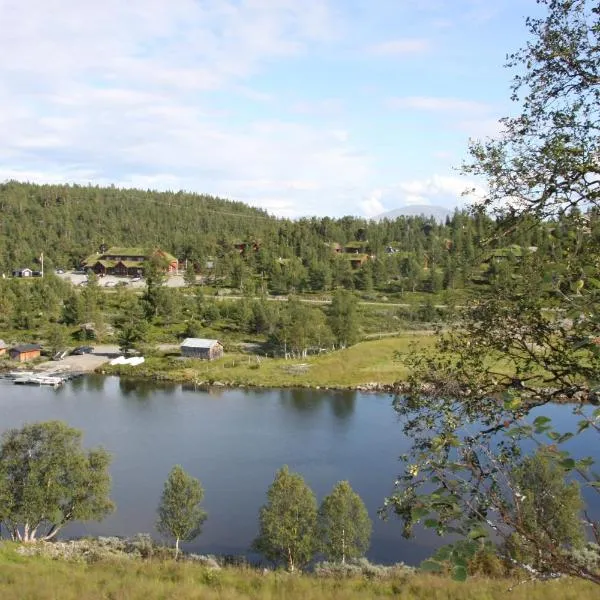 Lemonsjø Fjellstue og Hyttegrend, hotell i Hindseter 