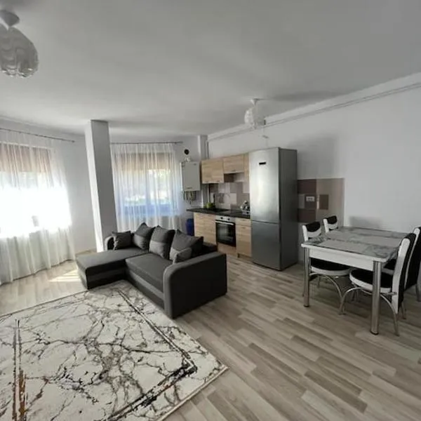 Alex 3 Apartament, hotel in Iaşi