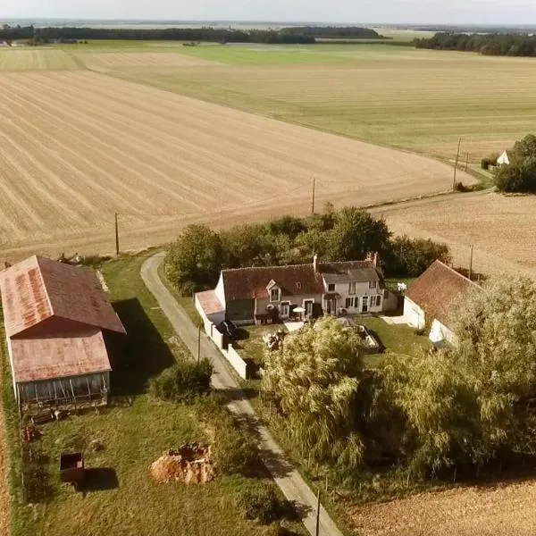 La maison des rosiers au bord du Loir, hotel in Crucheray