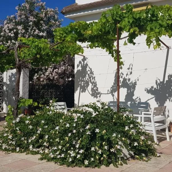 Villa tra gli ulivi, hotel u gradu 'San Pietro in Bevagna'