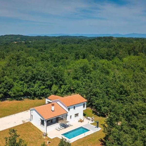Vila Prisunca jacuzzi & swimming pool, hotel v destinácii Pazin