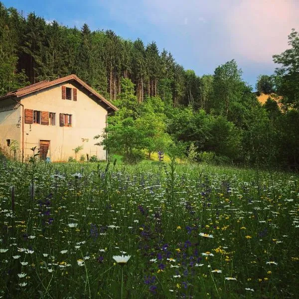 Alla Casetta B&B, hotel in Anzù