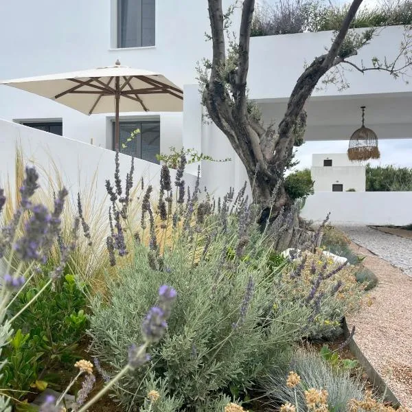 Casa di Amerissa Premium Accommodation, Hotel in Skyros