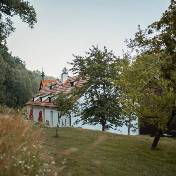 Mlýn Salajna, hotel in Dolní Žandov