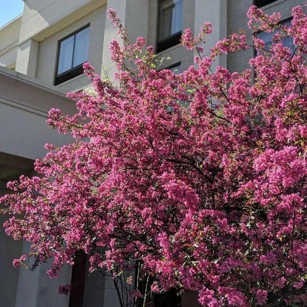 Hampton Inn & Suites Cincinnati-Union Centre, hotel v destinaci West Chester