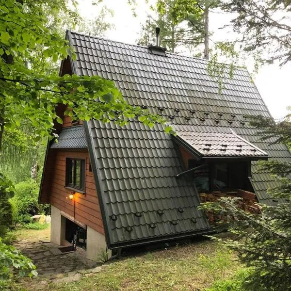 Domek w Lesie, khách sạn ở Łęki