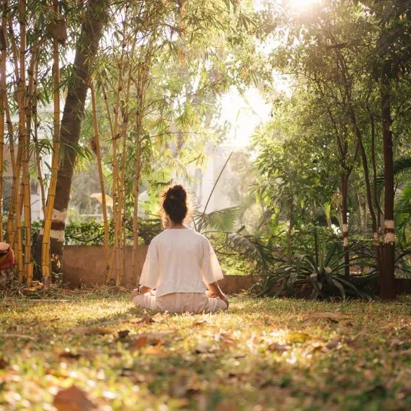 Anokhi Garden Guesthouse and Cafe，位于迈索尔的酒店