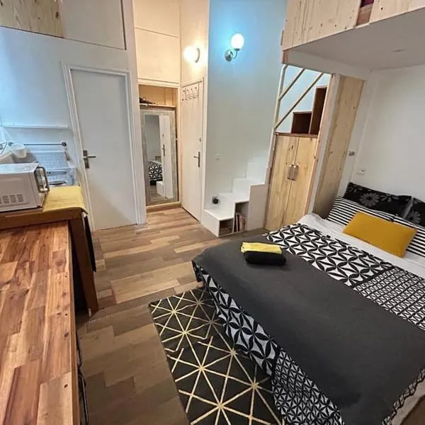 Studio en plein centre de Paris