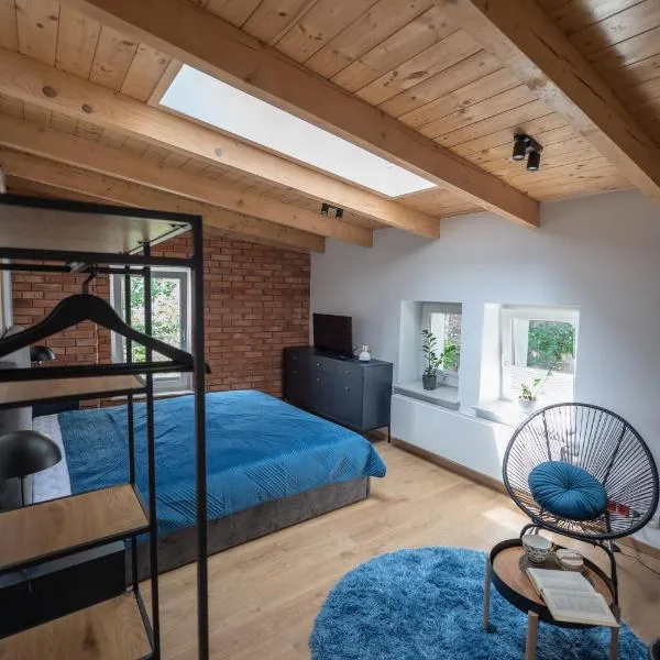 Apartamenty Młyńska 5, hotel in Bielsko-Biala