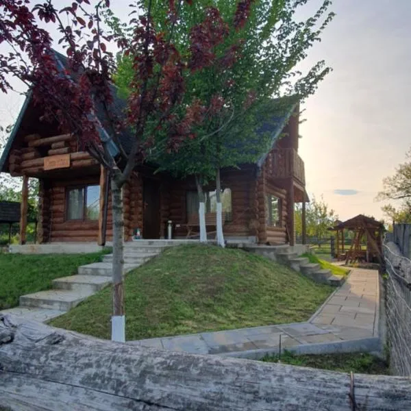 Casa Rosa – hotel w mieście Nădlac