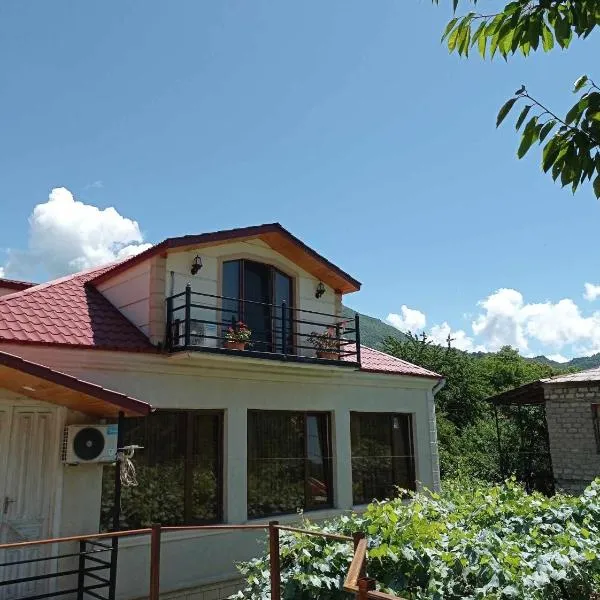 Gallery, hotel a Tsʼageri
