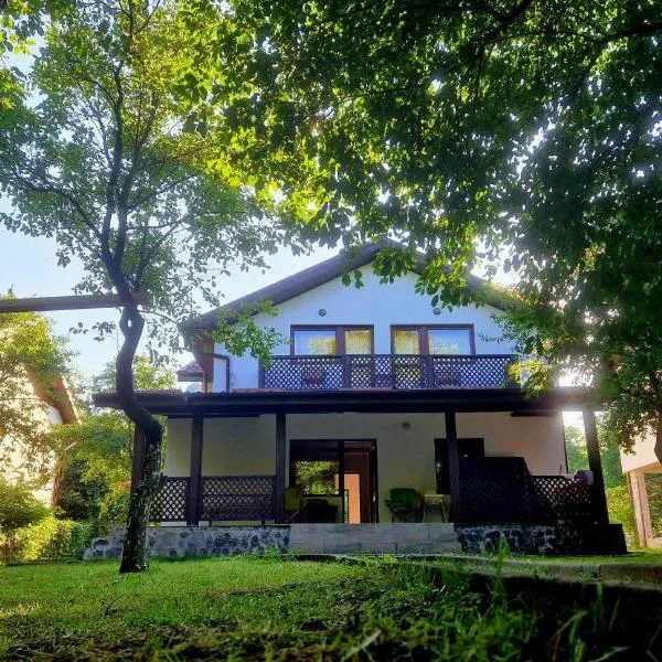 Casa Vlazilor, hotel in Breaza