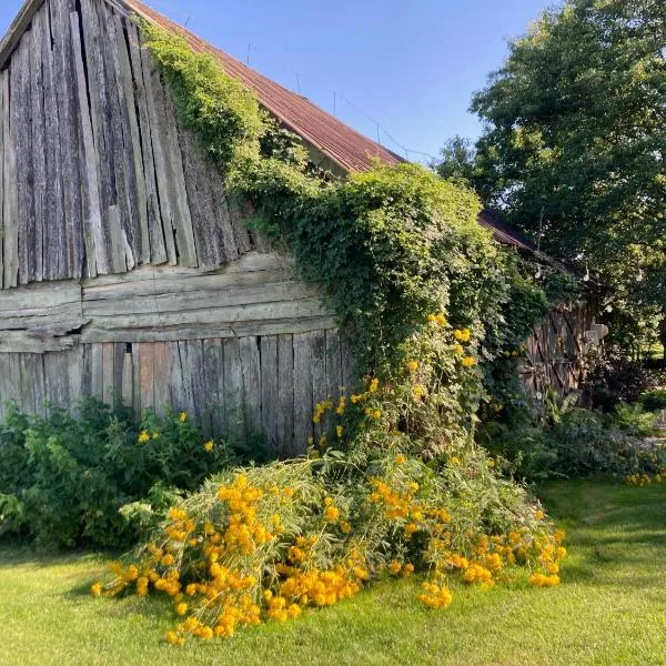 Kolonia u Jasia Rajgród, hotel en Rajgród