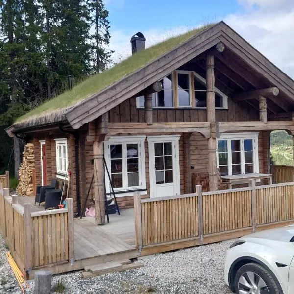 Ny tømmerhytte, hotel in Rollag