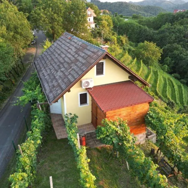 Adorable guesthouse in the middle of vineyards, hotel en Zgornji Leskovec