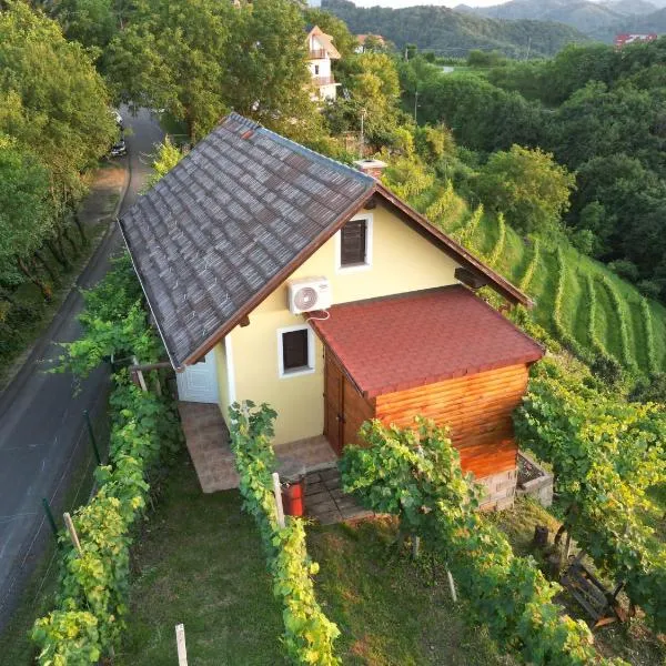 Adorable guesthouse in the middle of vineyards, hotell i Zgornji Leskovec