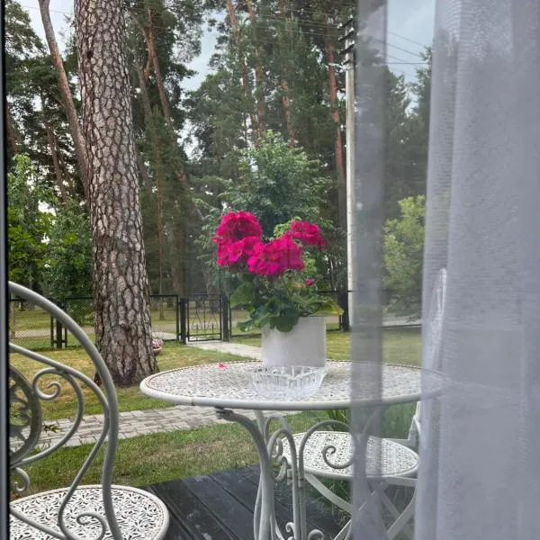 Kulautuva Park Apartments, hotel in Kulautuva