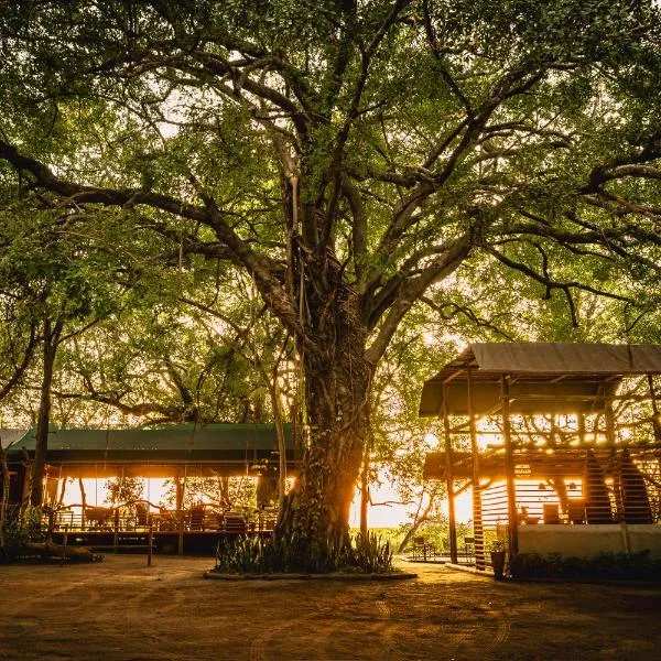 ASKIESBOS - Samochima Bush Camp โรงแรมในShakawe