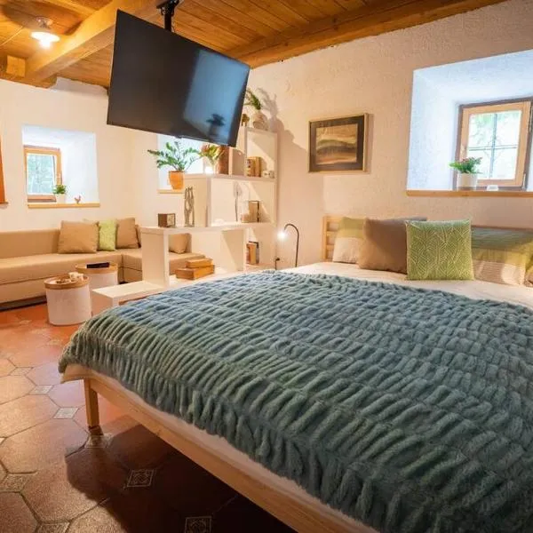 Studio Apartment Pr' Mirotu, hotel v destinaci Osilnica