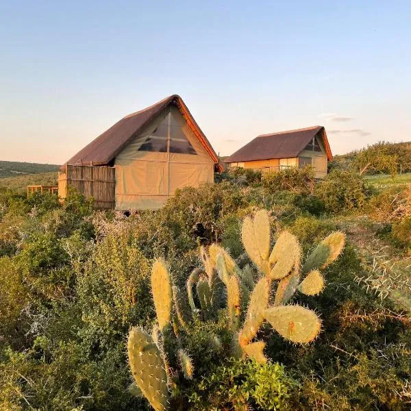 Harmony Luxury Tents & Safari, hotel sa Addo