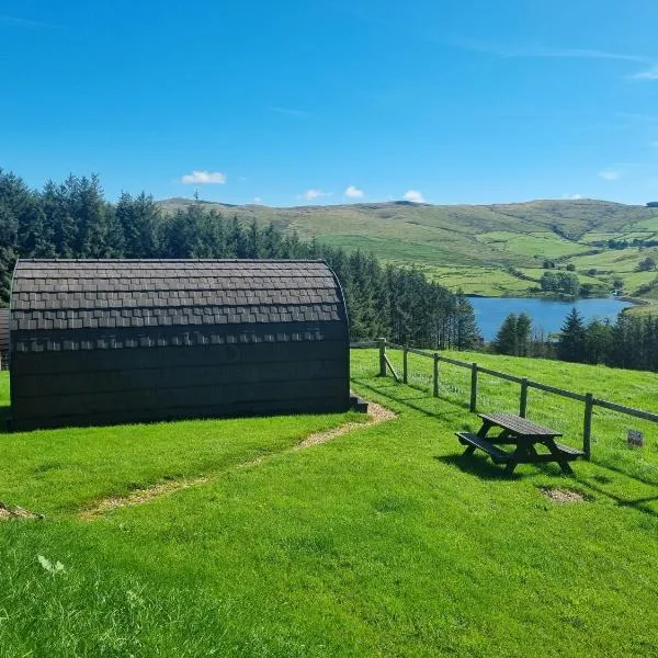 Forester's Retreat Glamping - Cambrian Mountains View, Hotel in Aberystwyth