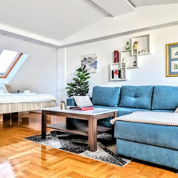 Spacious & attractive 600m-7minuta hoda od centra, mogucnost za parking-apartmani-nsmilos, hotel in Novi Sad
