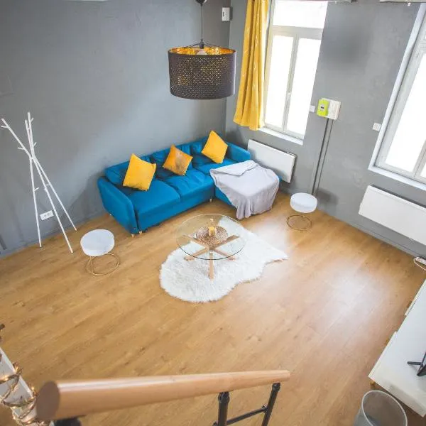 Colocation de luxe à Tourcoing avec jardin, hotel v destinaci Tourcoing