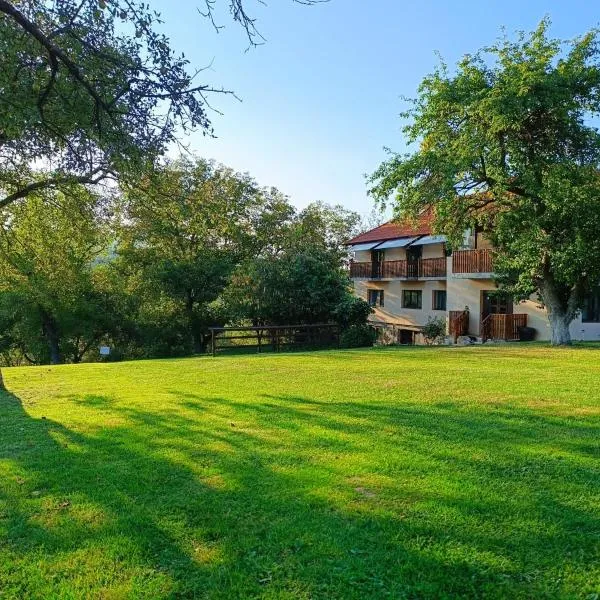 Pensiunea Agroturistica Ica, hotel din Valea Drăganului