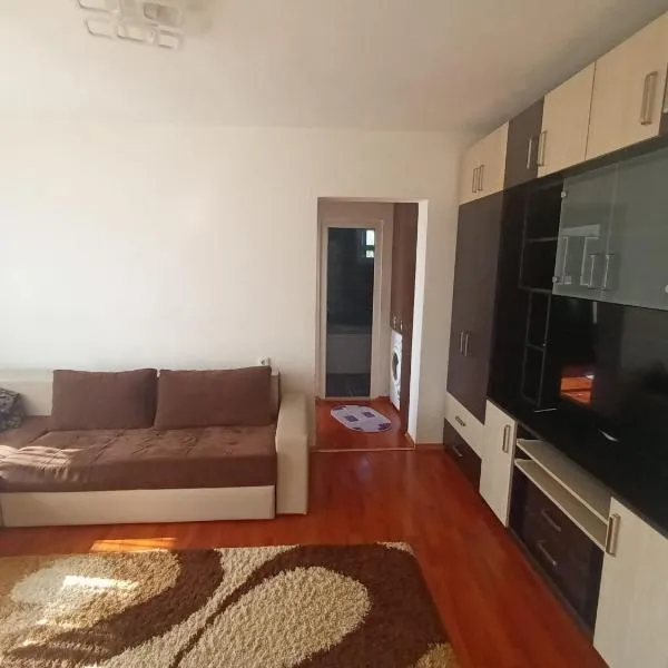 Apartament Magic, hotel in Petroşani