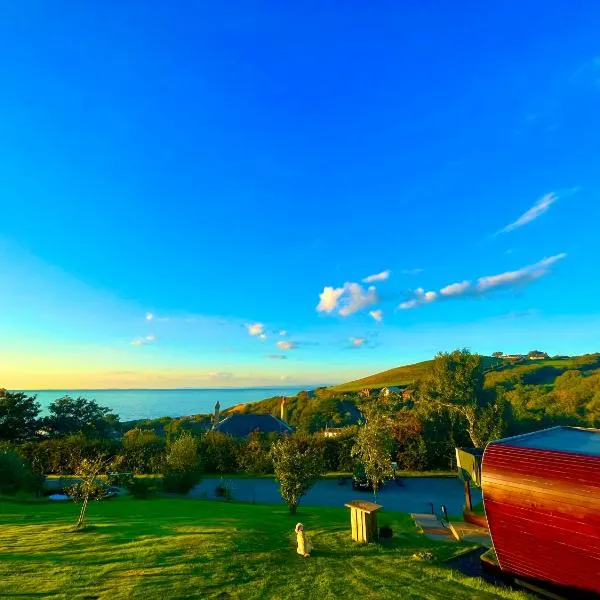 The Pod & Cwtch luxury accommodation, Hotel in Aberaeron