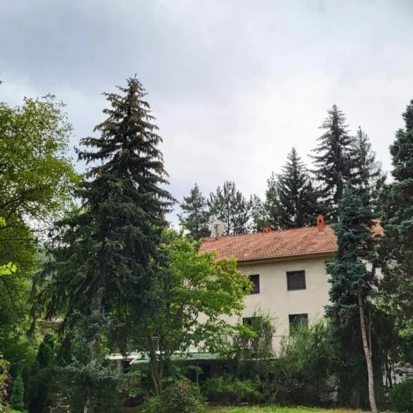 DAH BOROVA - BANJA TOPILO, hotel in Banja Topilo