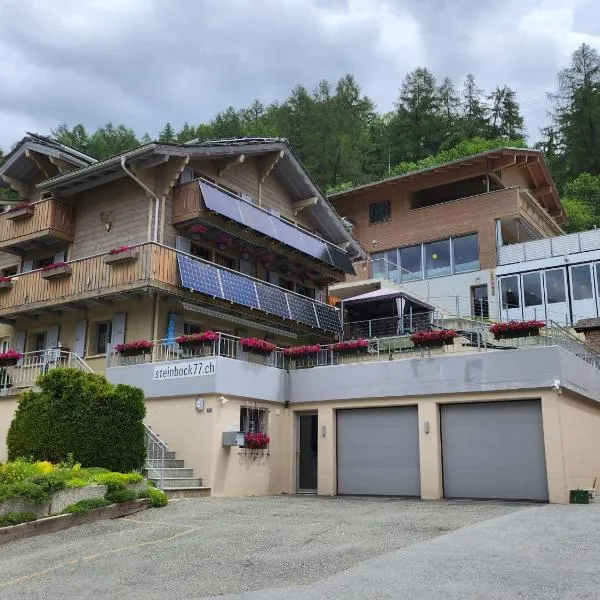 Steinbock, hotel din Grächen