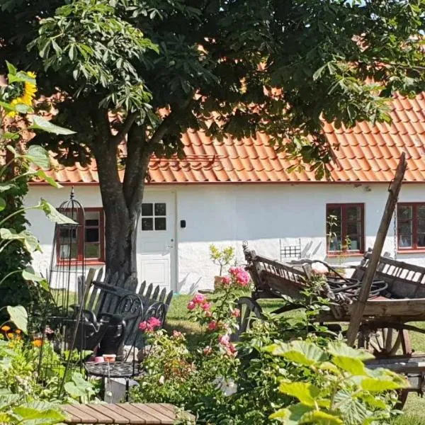 Norrekås Beach Studios, hotel v destinaci Borrby