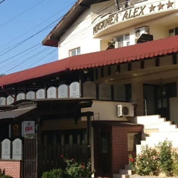Vila Alex&Razvan, ξενοδοχείο στην Τούλτσεα