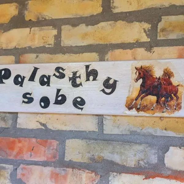 Sobe Palasthy, hotel in Novi Bečej