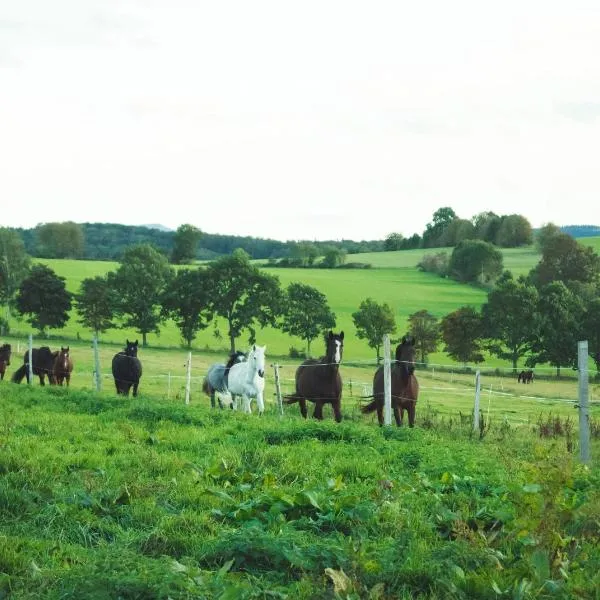 Urlaub auf dem Reiterhof Schaarschmidt、Großrückerswaldeのホテル