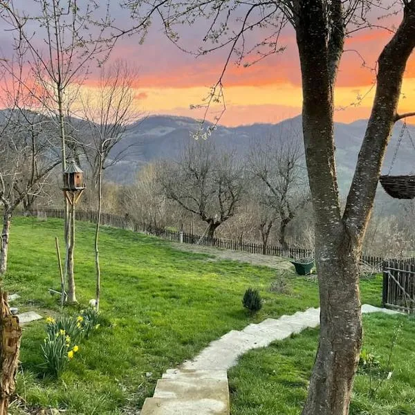Apusenia - darul naturii, hotel v destinaci Tarniţa