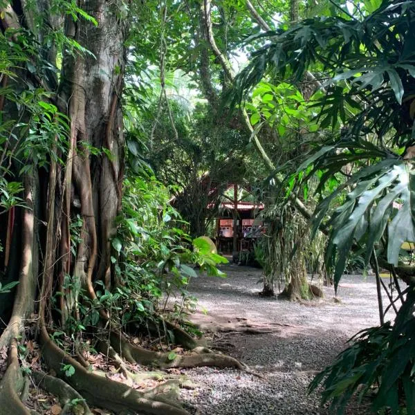 Brigitte's Ranch, hotel v destinaci Cahuita