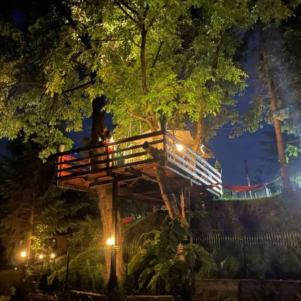 Casuta dintre brazi - Valea Doftanei - 2 camere – hotel w mieście Valea Doftanei