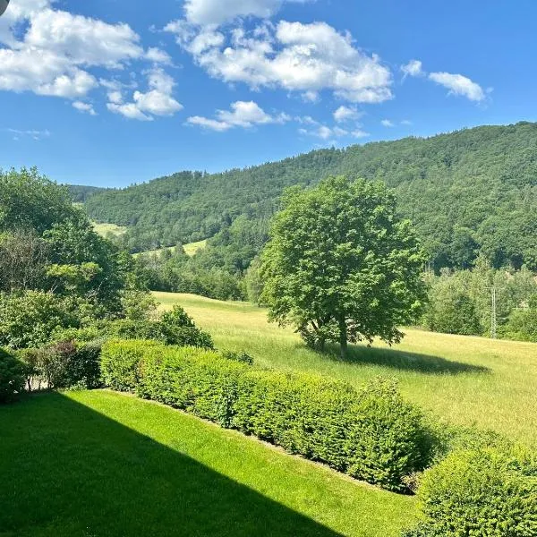 Schöne Aussicht!, hotel v destinaci Langelsheim