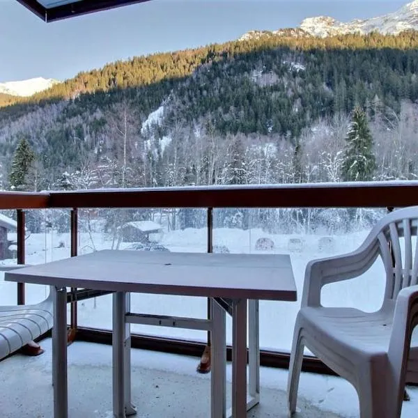 Appartement vue montagne proximité ski et parcours TMB, hotel in Les Contamines-Montjoie