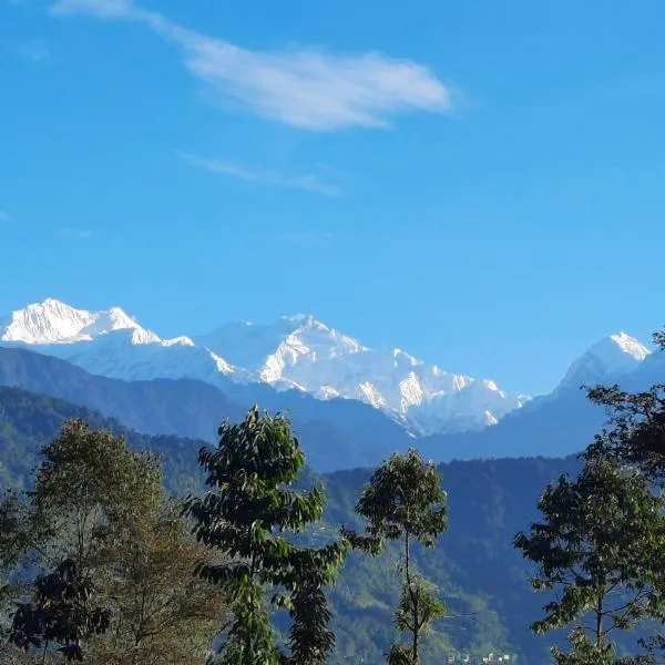 Red Panda Jungle Camp - A Unit of Davinchi Homes Pvt Ltd, hotel di Gyalshing