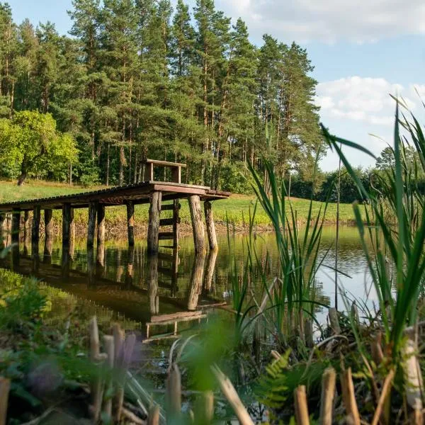 Agroturystyka Leśna Dolina, hotel in Sidory