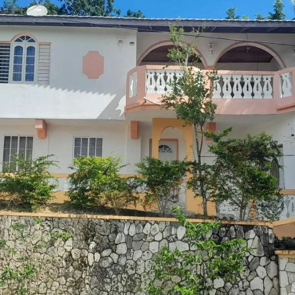 Cozy Family Inn, hotel in Port Antonio