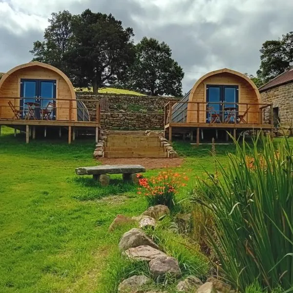 Coombs glamping pods, hotel in Fryup