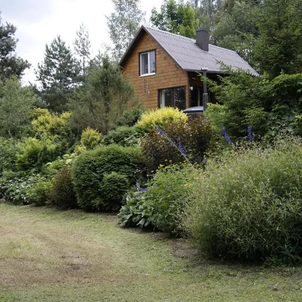 Latava, viešbutis Anykščiuose