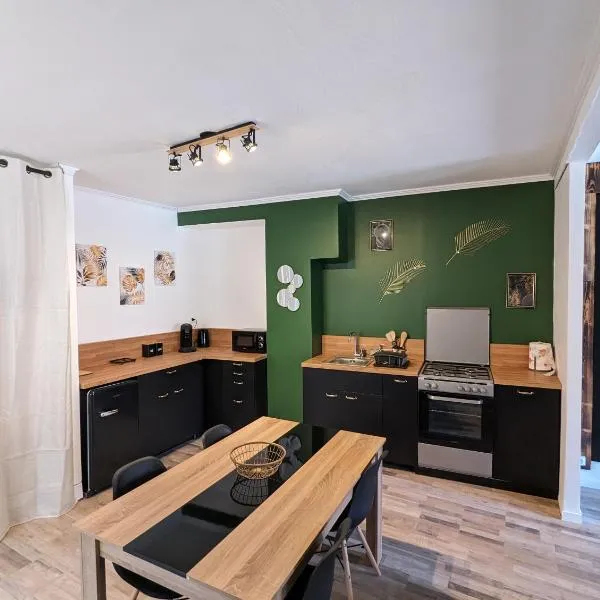 Appartement cosy hyper centre, hotel in Brioude